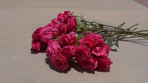 Berita Bisnis Update 23 Terbaru