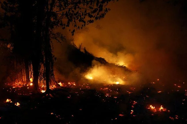 Kabut Asap Karhutla di Kalimantan Meluas, Mengganggu Penerbangan hingga Malaysia